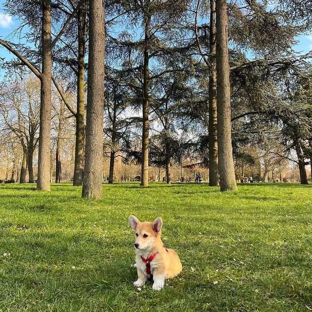 Instagram 1