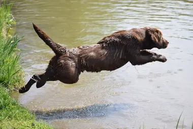 Oups en action